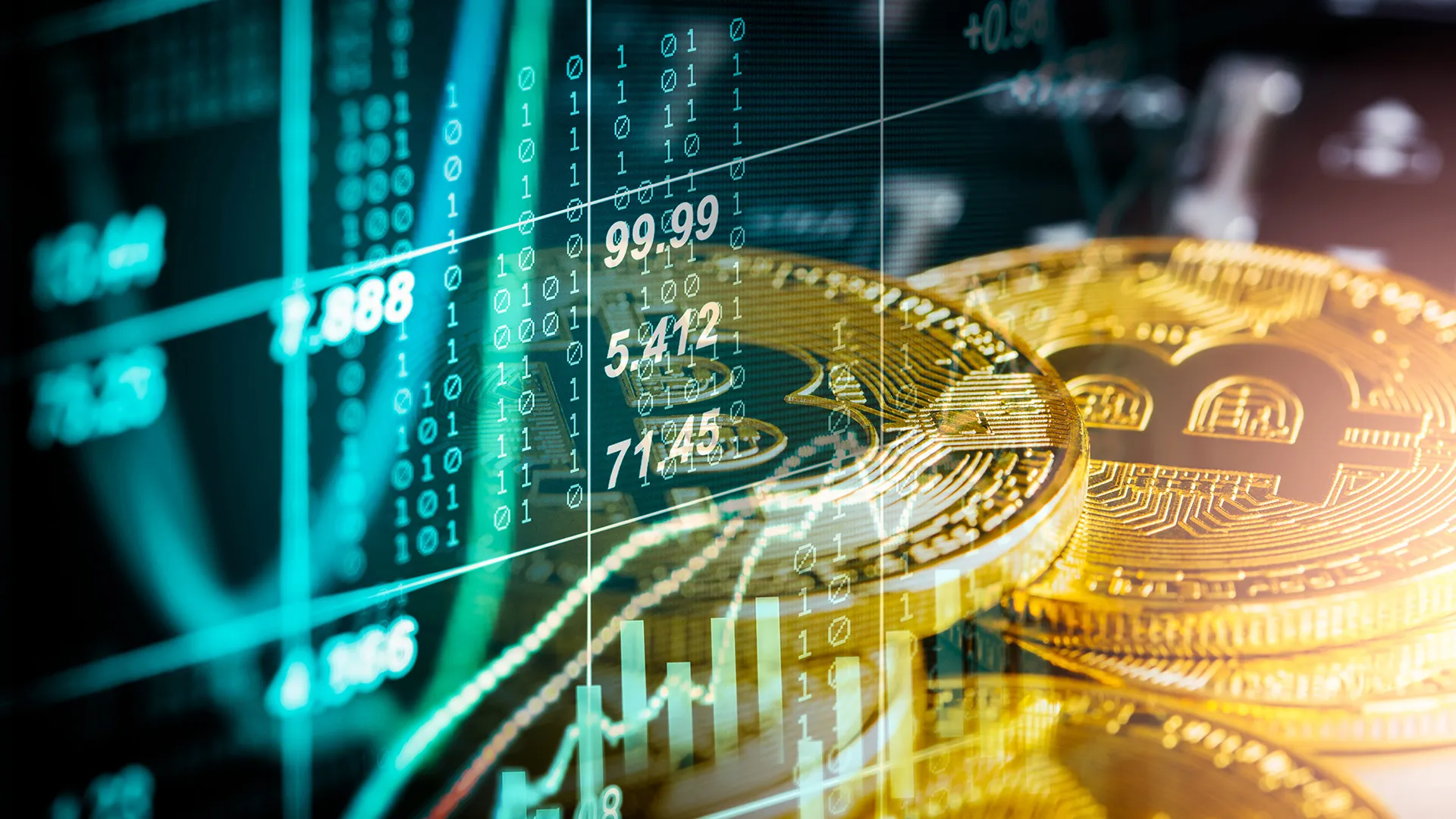 Understanding the Risks and Rewards: A Deep Dive into ‘crypto30x.com catfish’